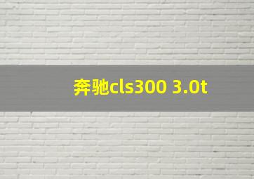 奔驰cls300 3.0t